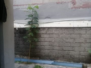 Disewakan rumah murah 1 lantai di Cluster Taman Cikini Metland Menteng Cakung Jakarta Timur siap huni minimalis modern