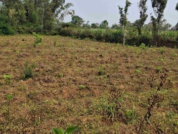 Tanah Kebun Murah Dekat Sawojajar Malang