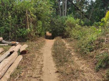 Tanah Kebun Murah Dekat Sawojajar Malang