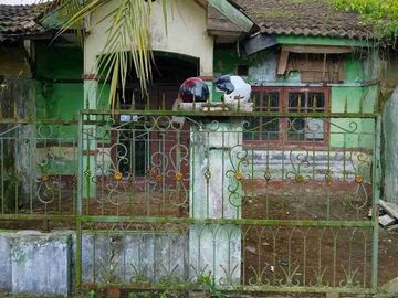 Jual Rumah apa ada Nya di Griya Asri Rajeg Kabupaten Tangerang