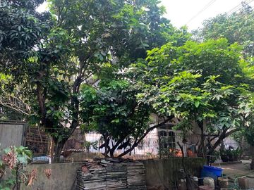 Dijual Kavling dan Gudang Bitung Curug Tangerang
