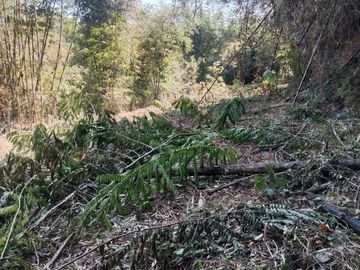 Dijual Murah Tanah Tegalan 1.800m² SHM Karangploso – Akses Mobil, Cuma 235 Ribu/m²