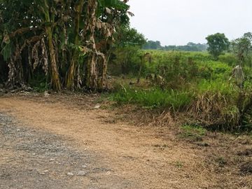 Tanah Industri 5 Hektar Dekat Tol Cikupa Siap Geber Bisnis
