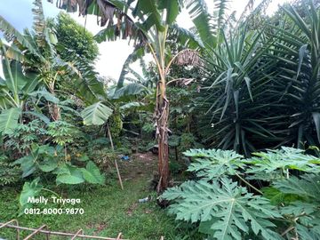 Dijual Lahan Kosong 238 M2 di Pondok Bambu, Jakarta Timur