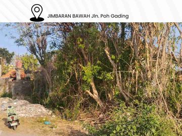 DIJUAL TANAH JIMBARAN BAWAH Jln. Poh Gading / Dekat Mcdonald & KFC Jimbaran - Bali.