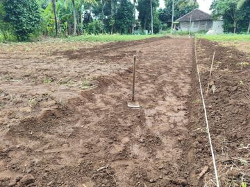 Tanah SHM 70Jtan di Sindang Jaya - 10 Menit Suvarna Sutera - Bisa Cicil 30 Kali Tanpa Bunga