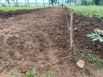 Tanah SHM 70Jtan di Sindang Jaya - 10 Menit Suvarna Sutera - Bisa Cicil 30 Kali Tanpa Bunga