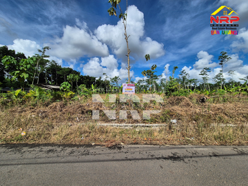 Dijual Tanah Sangat Luas sudah kering di Dadapan - Banyuwangi