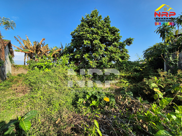 Dijual Tanah Strategis 300m Dari Jalan Raden Wijaya, Giri - Banyuwangi