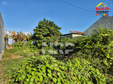 Dijual Tanah Strategis 300m Dari Jalan Raden Wijaya, Giri - Banyuwangi