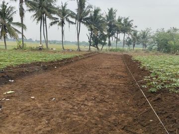 Tanah SHM 70Jtan di Sindang Jaya - 10 Menit Suvarna Sutera - Cocok Invest/Hunian - Bisa Cicil 30 Kali Tanpa Bunga
