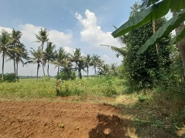 Tanah SHM 70Jtan di Sindang Jaya - 10 Menit Suvarna Sutera - Cocok Invest/Hunian - Bisa Cicil 30 Kali Tanpa Bunga
