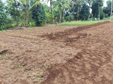 Tanah Kavling SHM 70Jtan di Sindang Jaya - 10 Menit Suvarna Sutera - Cocok Invest/Hunian - Bisa Cicil 30 Kali Tanpa Bunga
