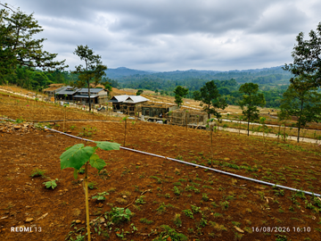 Dijual Tanah Bebas Banjir Legalitas Aman SHM Harga Murah Promo Free Biaya Urus Surat² di Bogor dekat Sentul Cileungsi Cibubur Cikarang Bekasi Depok