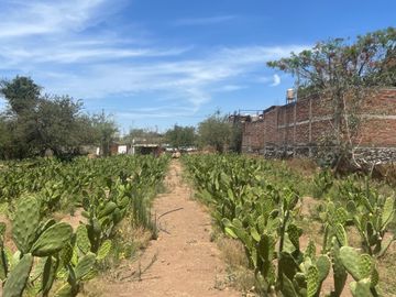 TERRENO EN VENTA | SAN MARTIN DE LAS FLORES | TLAQUEPAQUE