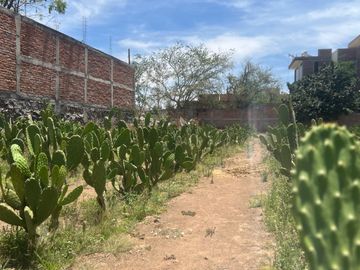 TERRENO EN VENTA | SAN MARTIN DE LAS FLORES | TLAQUEPAQUE