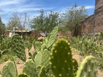 TERRENO EN VENTA | SAN MARTIN DE LAS FLORES | TLAQUEPAQUE