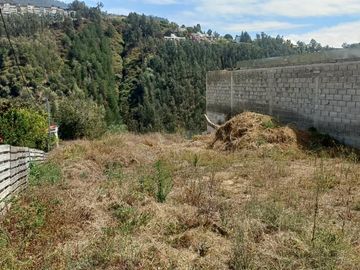 SE VENDE HERMOSO LOTE DE TERRENO 525 M².  CUMBAYA – QUITO – PICHINCHA - ECUADOR