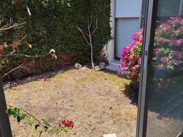 CUMBRES DEL LAGO JURIQUILLA CASA EN RENTA DE UN SOLO NIVEL 3 RECÁMARAS CUARTO DE SERVICIO