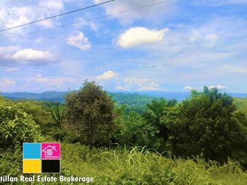 FARM LOT OVERLOOKING FOR SALE IN CARMEN CEBU