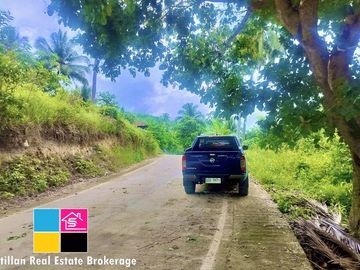 FARM LOT OVERLOOKING FOR SALE IN CARMEN CEBU