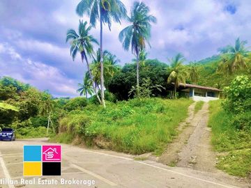 FARM LOT OVERLOOKING FOR SALE IN CARMEN CEBU