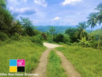FARM LOT OVERLOOKING FOR SALE IN CARMEN CEBU