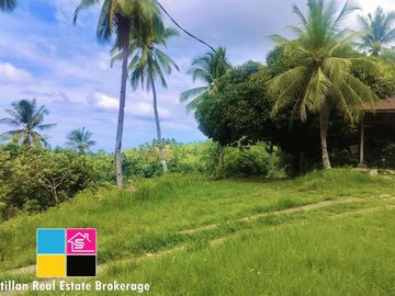FARM LOT OVERLOOKING FOR SALE IN CARMEN CEBU