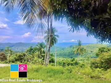 FARM LOT OVERLOOKING FOR SALE IN CARMEN CEBU