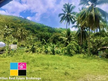 FARM LOT OVERLOOKING FOR SALE IN CARMEN CEBU