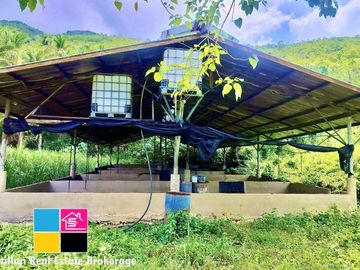 FARM LOT OVERLOOKING FOR SALE IN CARMEN CEBU