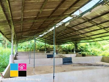 FARM LOT OVERLOOKING FOR SALE IN CARMEN CEBU