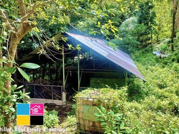 FARM LOT OVERLOOKING FOR SALE IN CARMEN CEBU