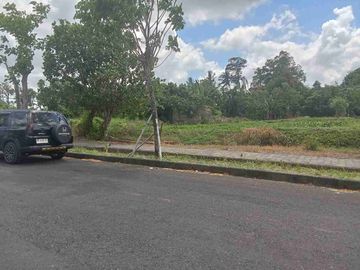 DISEWAKAN TANAH/LEASEHOLD TANAH PREMIUM OCEAN VIEW PADDIE VIEW LINGKUNGAN CIPUTRA RESORT PANTAI PANGKUNG TIBAH TABANAN BALI