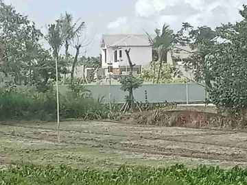 DISEWAKAN TANAH/LEASEHOLD TANAH PREMIUM OCEAN VIEW PADDIE VIEW LINGKUNGAN CIPUTRA RESORT PANTAI PANGKUNG TIBAH TABANAN BALI