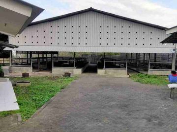 Di jual bekas kandang sapi