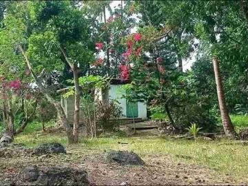 Farm Lot for sale in Moalboal Cebu good for Farming and approximately 1km to beaches