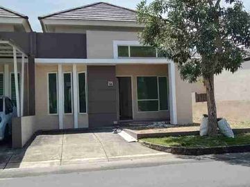 Cluster Citrine 90 Paragon Hill