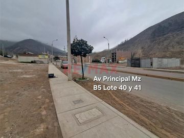 Vendo Terreno San Antonio De Pachacamac 181M2