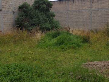 TERRENO 200M2 EN VENTA SAN MATEO OXT. TOLUCA
