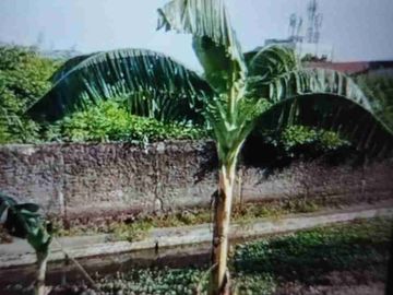 JUAL CEPAT HARGA DIBAWAH PASARAN KAVLING SIAP BANGUN DI KALIDERES JAKARTA BARAT