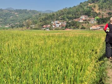Dijual Tanah Strategis Di Lingkar Baru Soreang, akses jalan utama provinsi