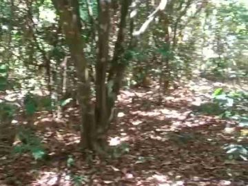 Kebun Subur 3 Hct Desa Belapunranga, Parangloe, Gowa