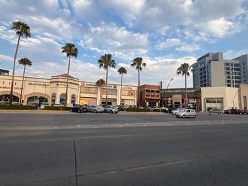 Local en Renta Plaza Palmas, León, Guanajuato