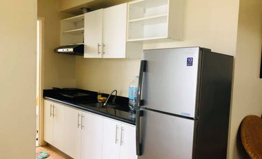 Fully Furnished Spacious 2 Bedroom with Parking in IT Park