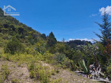 TERRENO CON MUY BONITA VISTA EN MINERAL DEL MONTE PUEBLO MÁGICO.