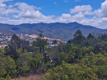 TERRENO CON MUY BONITA VISTA EN MINERAL DEL MONTE PUEBLO MÁGICO.