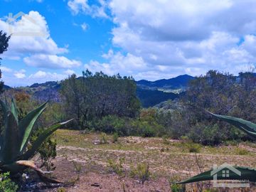 TERRENO CON MUY BONITA VISTA EN MINERAL DEL MONTE PUEBLO MÁGICO.