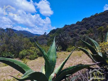 TERRENO CON MUY BONITA VISTA EN MINERAL DEL MONTE PUEBLO MÁGICO.