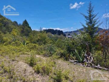 TERRENO CON MUY BONITA VISTA EN MINERAL DEL MONTE PUEBLO MÁGICO.